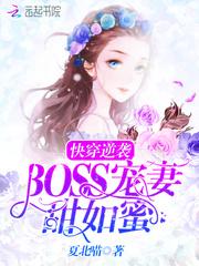 邪魅总裁的冰块小娇妻