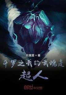 乞儿记事