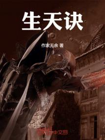 在大宋的日子里