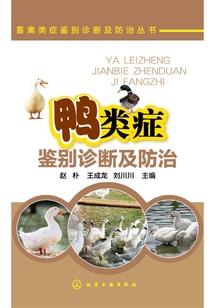 魅影星王子地球环游记前传