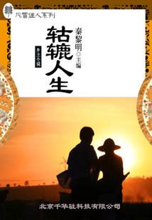 锦程似梦