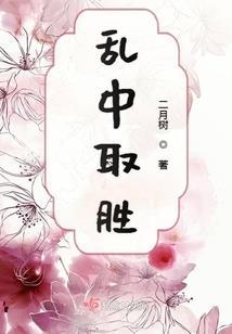 在爱情公寓当奶爸