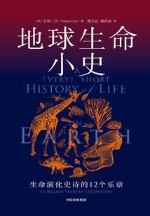 专属于你的柔情