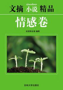 最后的残影