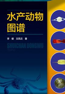 殿下，王妃打算给你画遗像