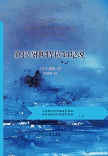 终结者X