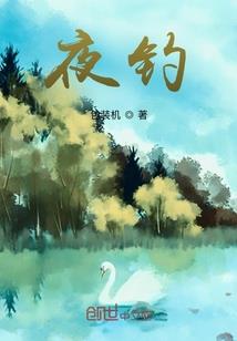 猫与我的故事