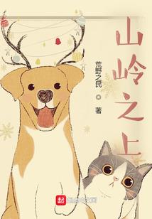 雏战