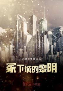 黑老大的爱妻