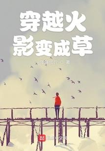 海鸥青春