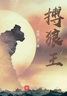 梦想导演