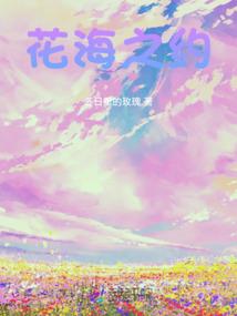 多塔之单车武士