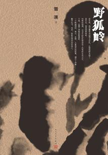 隐形家族