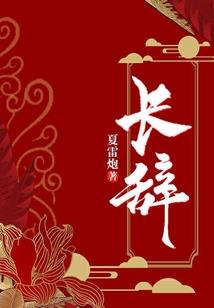 穿越之长发为君留