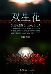 我只是想结个婚