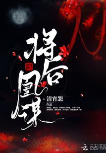 暗夜之火影忍者