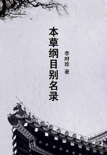 元洲设定