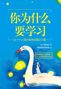 毛球二