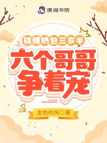 三婚新郎之染指娇妻