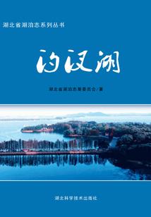 迷心网红路