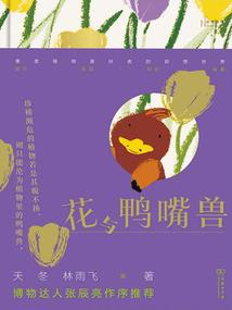 21世纪之鬼缘