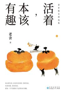 衍道极瞳