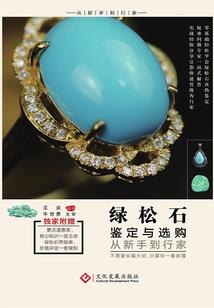 我家娘子不可能是大佬