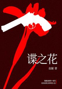 仙转九域