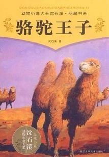 心波漾起了你
