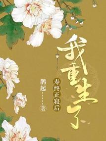 海贼：开局提问大和