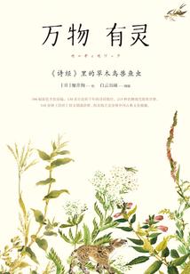 星空一粟