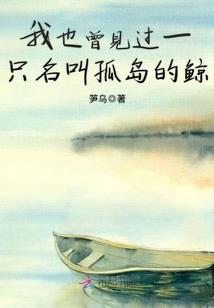 冷沙晴槛月光辉