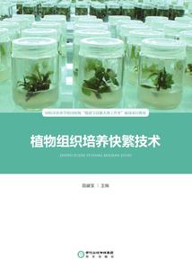 修真第一祖仙