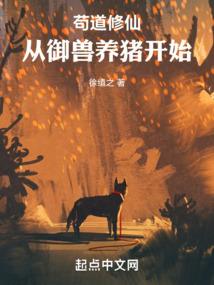 校园篮球风云-美国篇