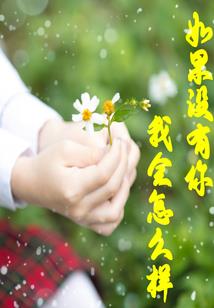 诸天救援系统