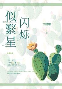 崩坏世界的一只鸟