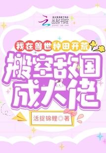 第一极