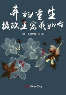 原体之域