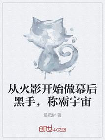 穿越之我是明妃