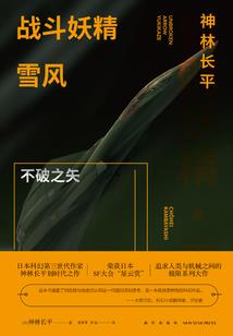 某魔法的无尽之夜