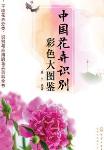 巫师世界里的普通人