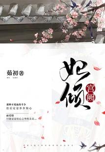 逆风的大雁