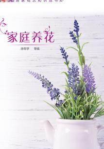 现代修真