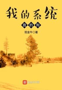 最强宝具系统