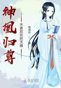 道之根