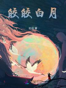 木小姐的易先生