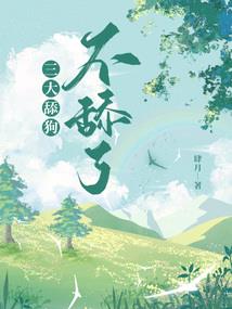 雾隐忍者传