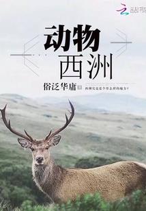 天之凡