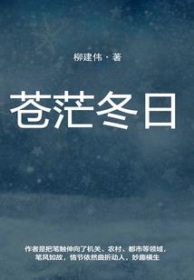 五龙之天