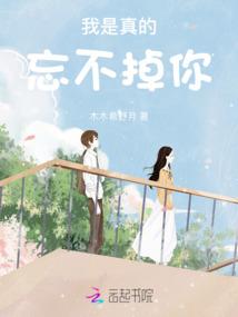 明星荣耀